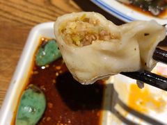 酸菜猪肉饺子-新兴园饺子馆(望京店)
