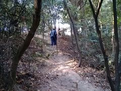 路面-火炉山森林公园