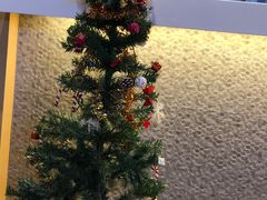 -吉野家(凯旋购物广场店)