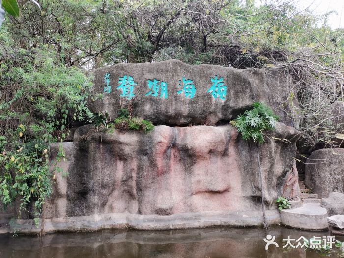 深圳国际园林花卉博览园图片