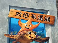 -西涌国际滨海旅游区