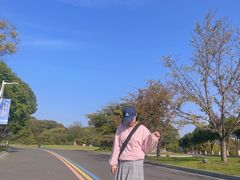 -羊山湖公园