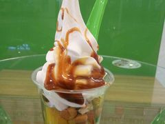 -Salud撒露欧洲冻酸奶(蓝色港湾店)