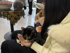 -平行世界·猫咖(首经贸店)
