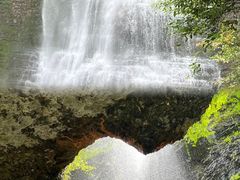 -鹿院坪生态旅游景区