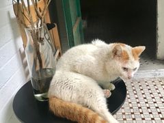 -彳亍咖啡·这里(水湾路店)
