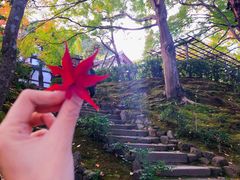 -常寂光寺