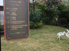 -美的鹭湖森林度假区