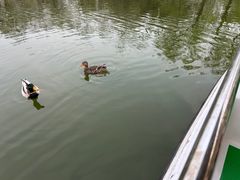 -朝阳公园