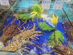 -尖沙咀大酒楼(罗村店·粤菜海鲜·宴会聚餐)