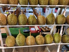 -都念榴莲·城市榴莲