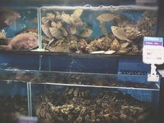 -盒马鲜生(曜一城店)