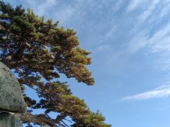 -华山风景名胜区