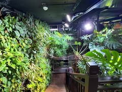 -森味薪火烧•烧鸟居酒屋•日本料理(望京店)