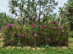 -海南热带野生动植物园