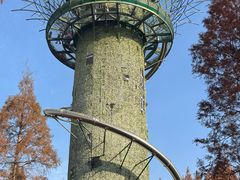 -黄海国家森林公园