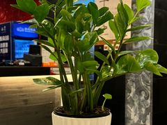 -峨嵋酒家(牡丹园店)