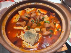 -小厨娘金榜题名(夫子庙秦淮河店)