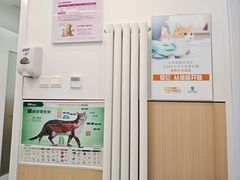 -瑞派·关忠动物医院·猫专科·犬专科(三环新城店)
