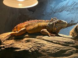 -Zoolung Zoolung动物主题公园(海信广场店)