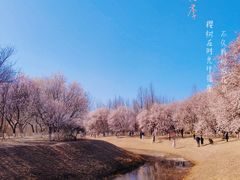 -北京奥林匹克公园