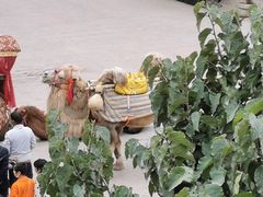 -百年老茶馆