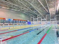 -奥林匹克体育中心游泳馆