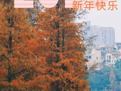 -重庆彩云湖湿地公园