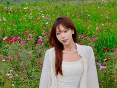 -空港花田景区