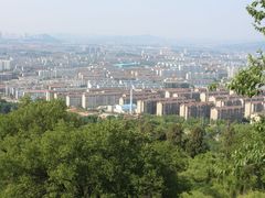 -原山国家森林公园