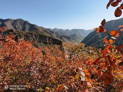 -周口店坡峰岭风景区