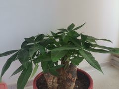 -三旗百汇商品城