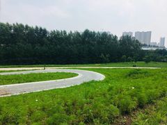 -长春世界雕塑园冰雪艺术天地