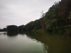 -海珠湖公园