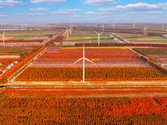 -黄海国家森林公园