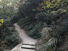 -杭州半山国家森林公园