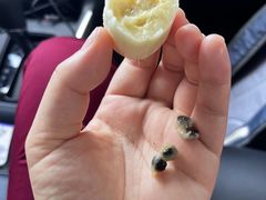 -香麒园·过桥米线·南湖雅宴