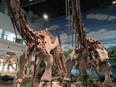 -自贡恐龙博物馆