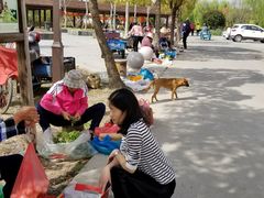-锦江中华村农家乐饭庄
