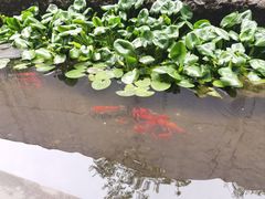 -中国湿地博物馆