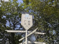 -广州市帽峰山景区