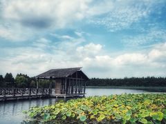 -溱湖国家湿地公园