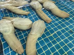 -三亚火车头万人海鲜广场