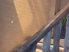 -徽三说·土徽菜·中国徽菜连锁品牌(一中店)