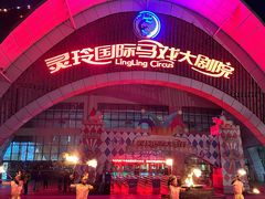 -灵玲国际马戏城
