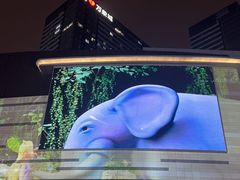 -石家庄万象城