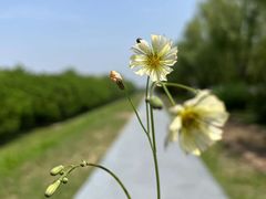 -渭河城市绿地运动公园