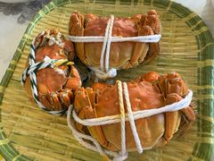 -蟹天蟹地农家菜·阳澄湖大闸蟹(浅水湾店)