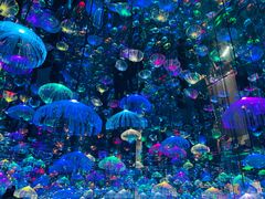 -天津梵高星空艺术馆(天河城旗舰店)