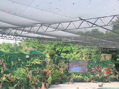 -广州长隆飞鸟乐园